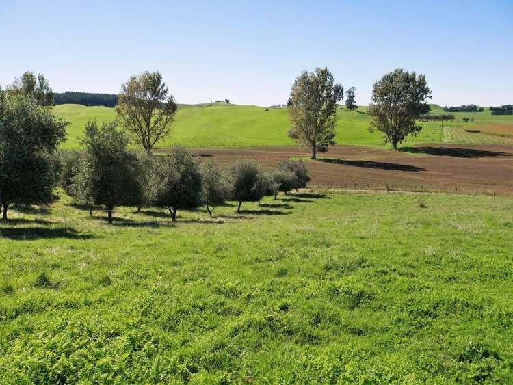 970 Matapiro Road Crownthorpe_7