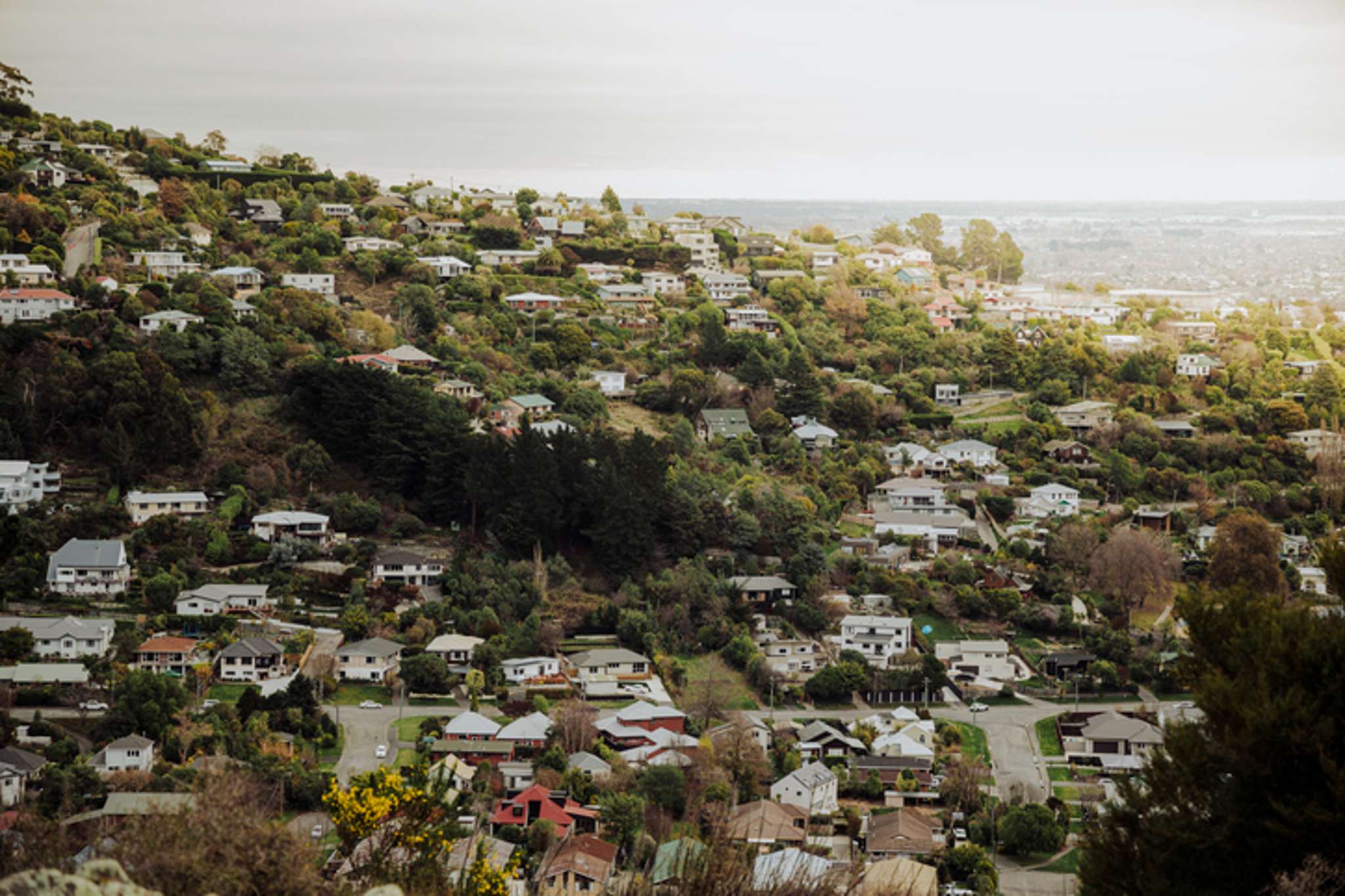 ‘Covid has wiped any memory of the quakes’: Inside NZ’s first home buyer ‘paradise’