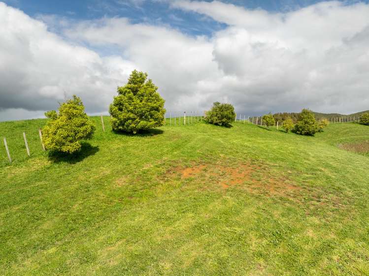 28 Wrights Road Raglan_9