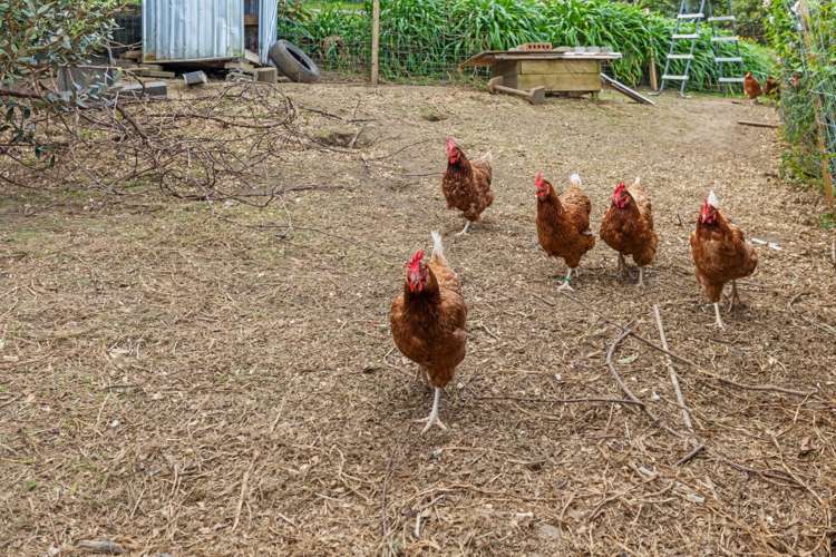 30 Courtney Road Gate Pa_32