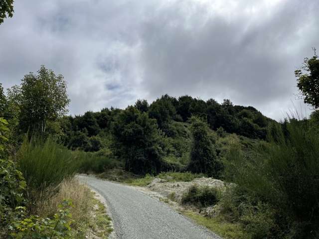 Manuka Gorge Highway Waitahuna_4