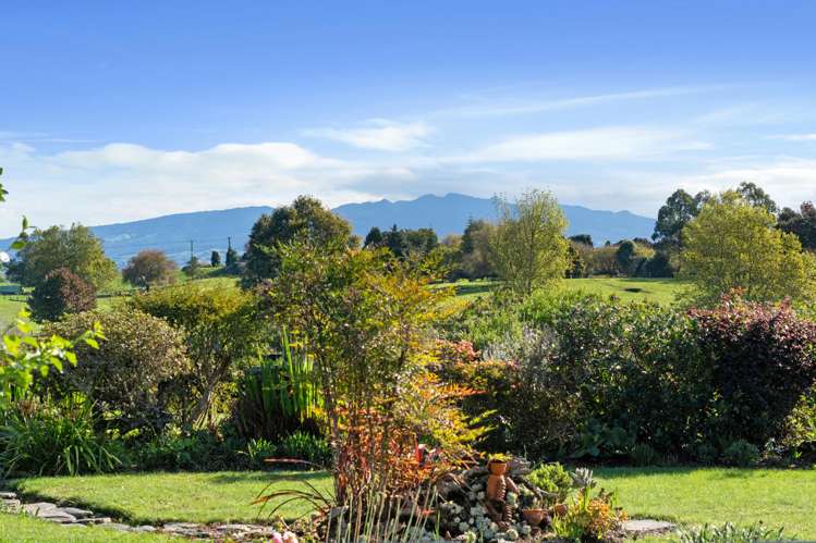 182 Dalton Avenue Te Awamutu_5