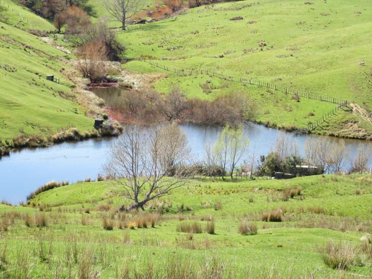 585 Mangakuri Road Elsthorpe_8