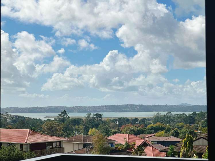 10-12 White Heron Drive Massey_47