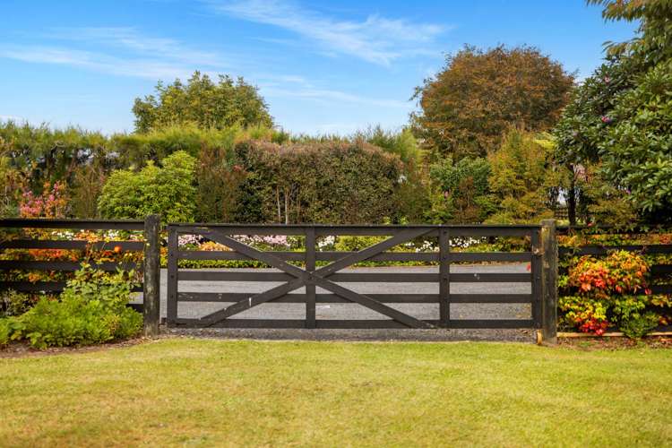 48 Sinclair Road Whakamarama_17