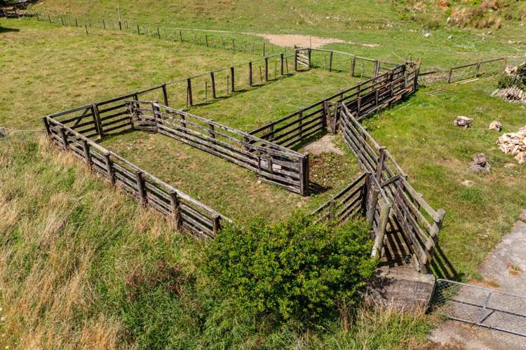 148 Tunakino Valley Road Rai Valley_8