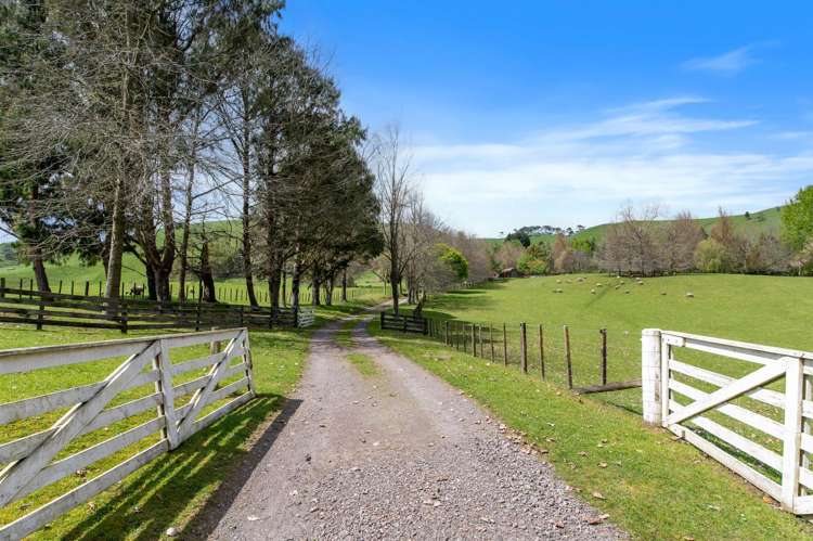 101 Te Weta Road Waikite Valley_2