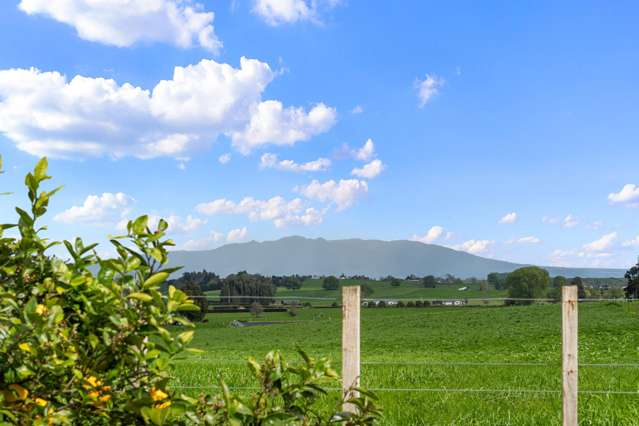 105 Muir Road Te Awamutu_1