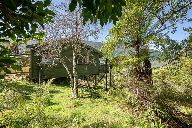 Nikau Bay Kenepuru Sound_7