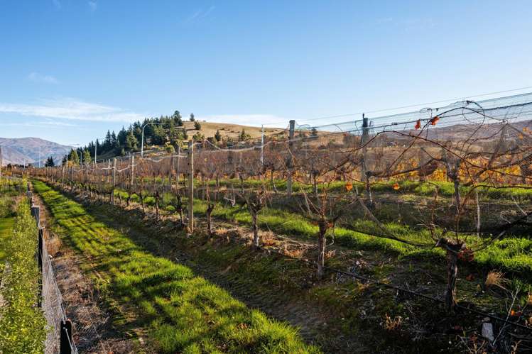 101 Wooing Tree Avenue Cromwell_17