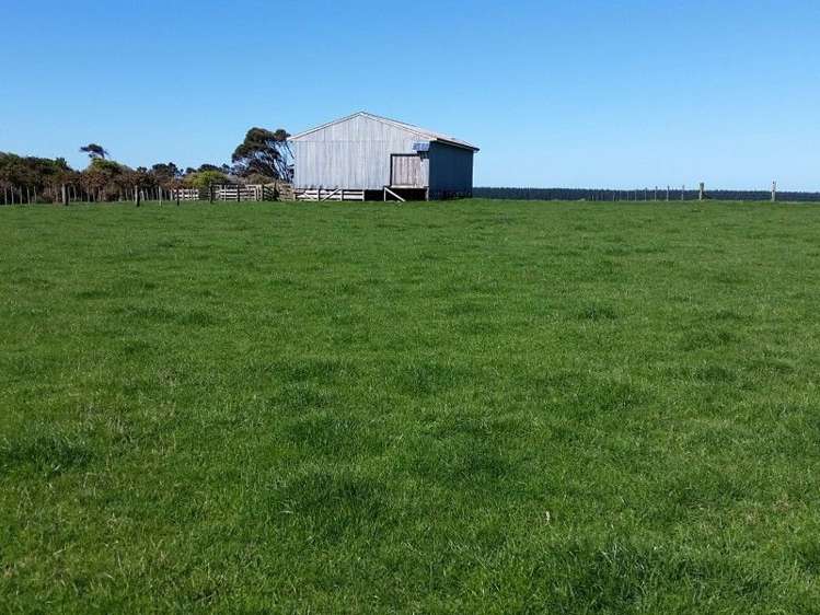 1584a Brunswick Road Kai Iwi_9