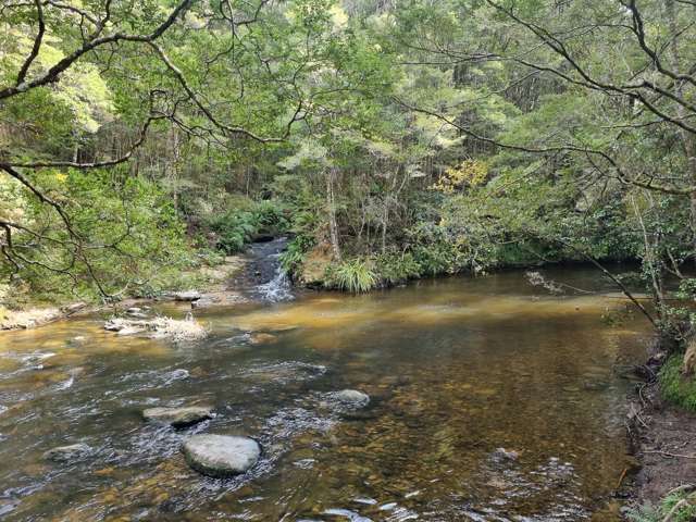 Tahakopa Valley Road Catlins Surrounds_2