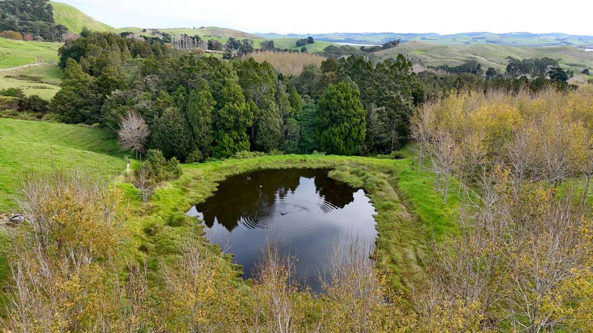 4062 Kaipara Coast Highway_0