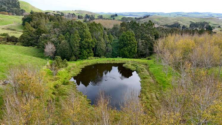 4062 Kaipara Coast Highway Tauhoa_0