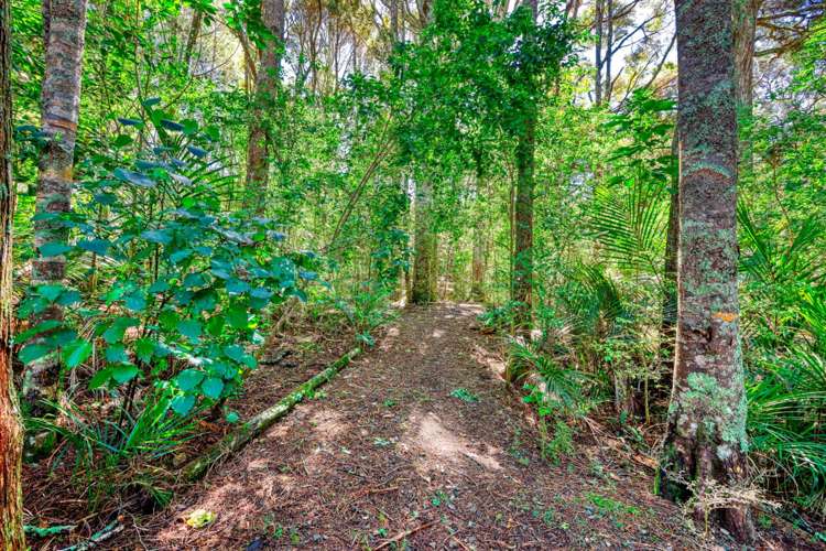 4b Rua Road Mangawhai_18