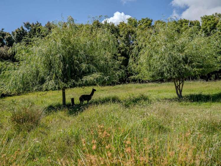 41A Orchard Road Kerikeri_28