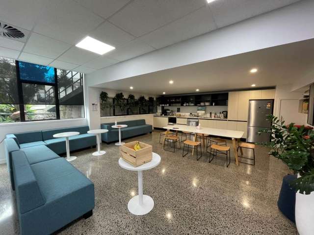 4 Murdoch Road Grey Lynn_3