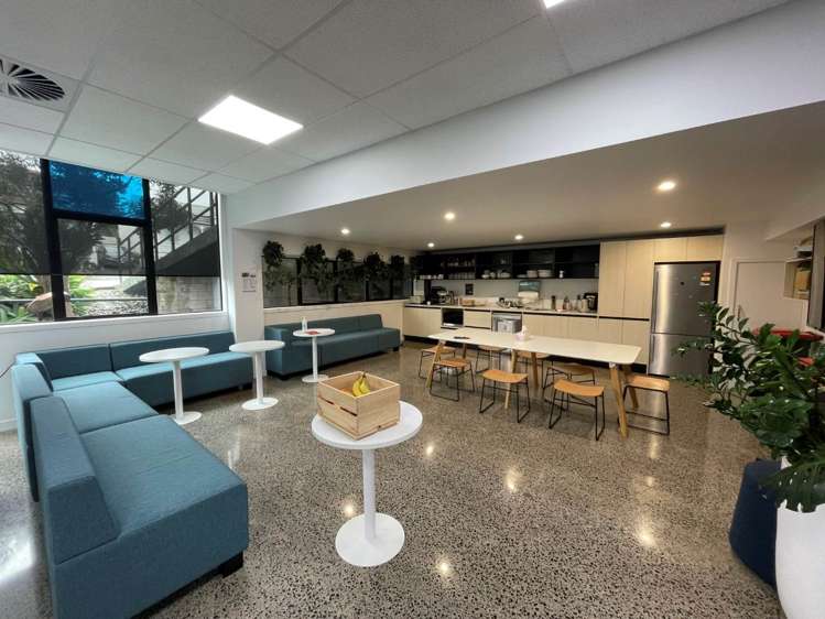 4 Murdoch Road Grey Lynn_3