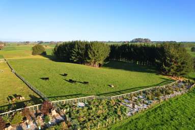 11C Jones Road_3