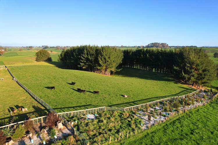 11C Jones Road Putaruru_3