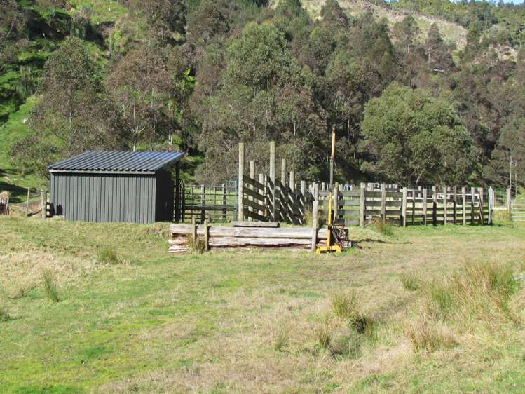 173 Luttrell Road Murupara Surrounds_15