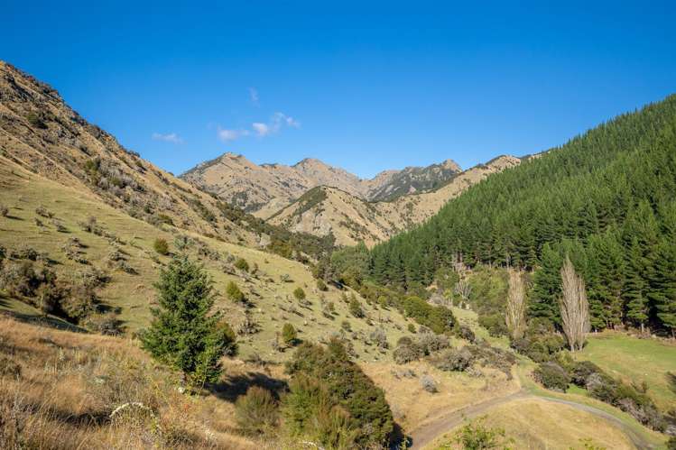 1180 Tyntesfield Road Waihopai Valley_8