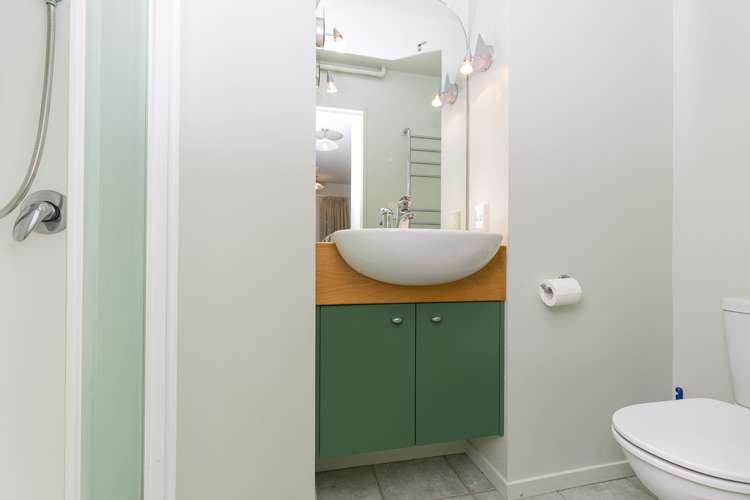 4/6 Elizabeth Street Mount Victoria_7