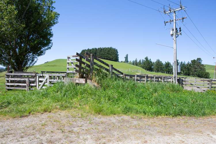 1921 Weber Road Dannevirke_37