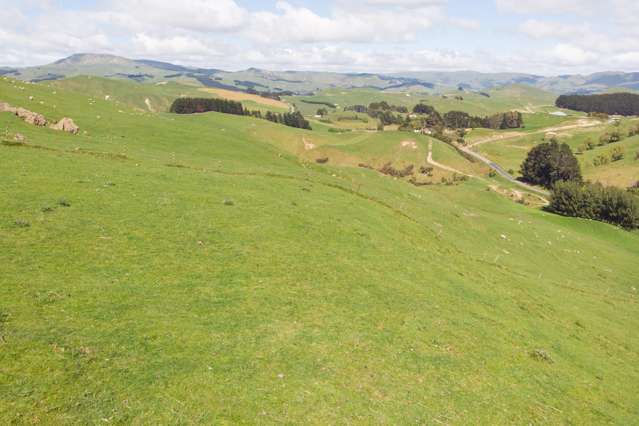 1921 Weber Road Dannevirke_1