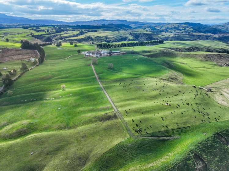 3986 Puketitiri Road Patoka_21