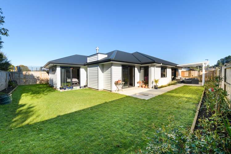 5 Monarch Drive Ashhurst_22