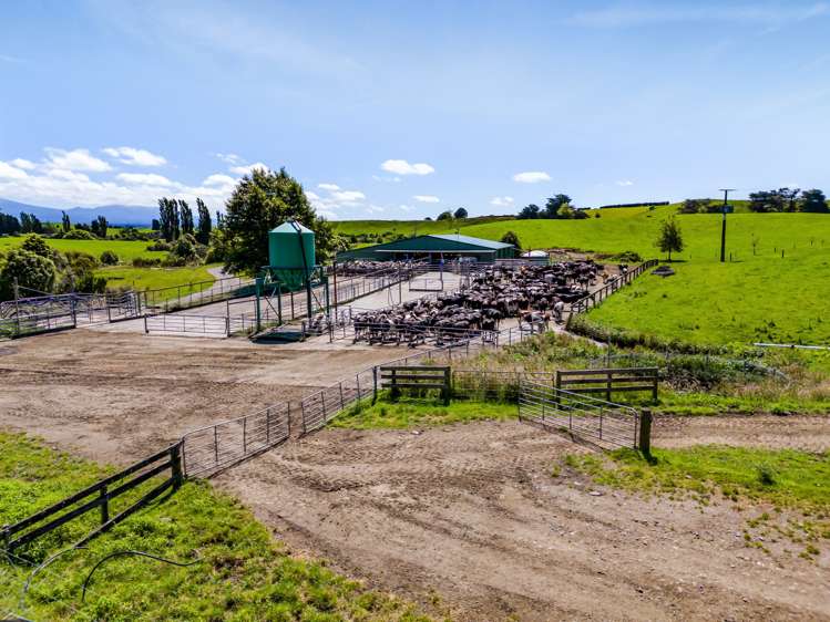 137 Ratapiko Road Ratapiko_14