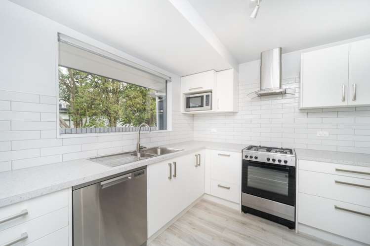 66 Kaimanawa Street_1