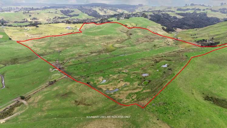 440 Fordyce Road Parakai_9