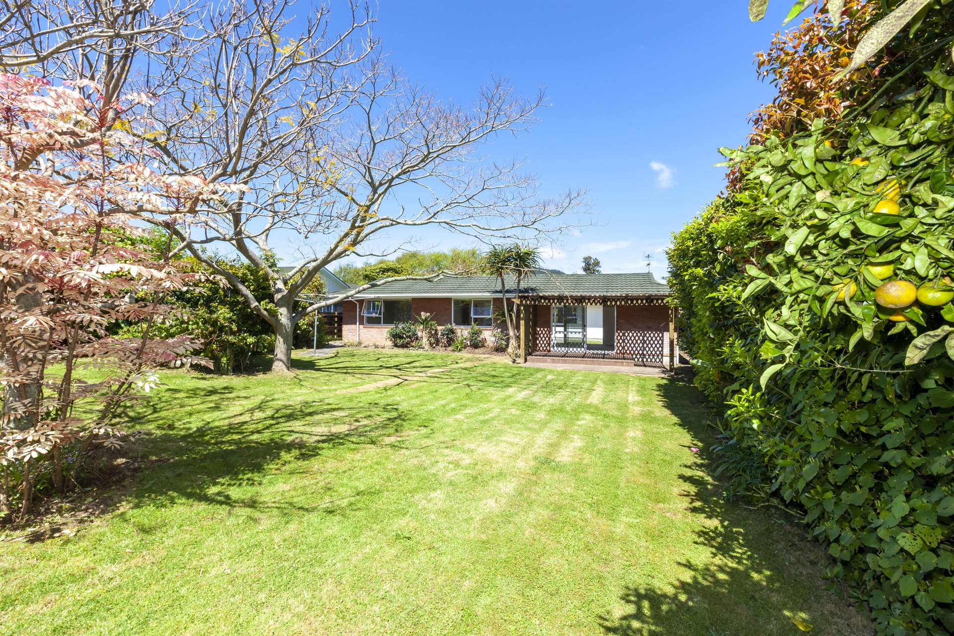 87 Ngaio Road Waikanae_0