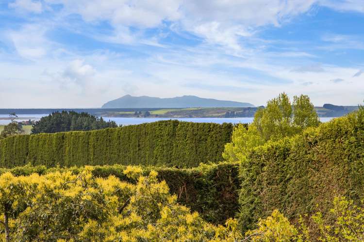 311 Wainui South Road Whakamarama_2