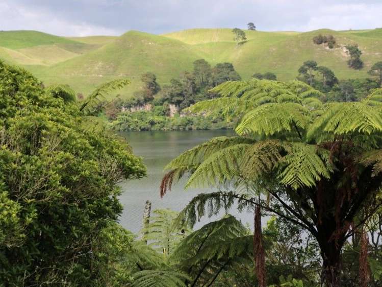 1190 Lake Arapuni Road Putaruru_32