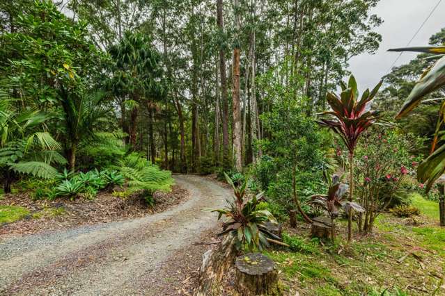 168 Dip Road Kaeo_2