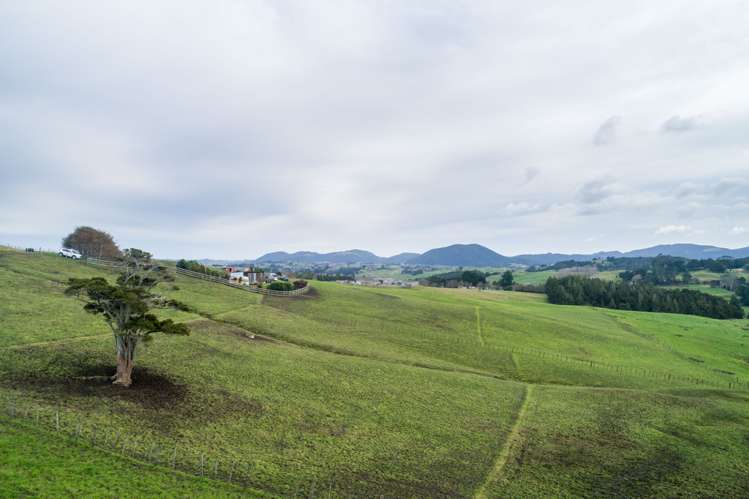 77 Vista Lane Kaiwaka_8