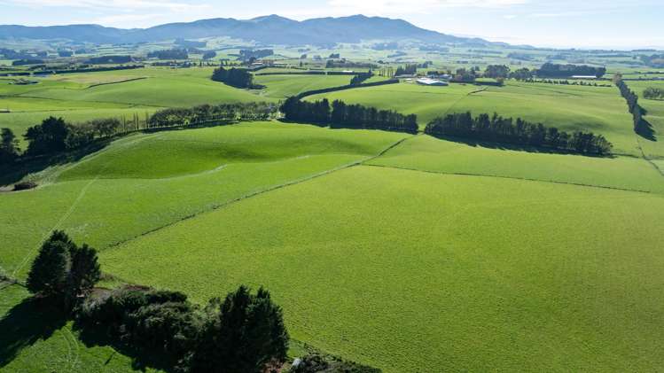 305C Waimumu Road Waimumu_10