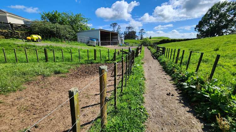 133 Kaimata Road Kaimata_7