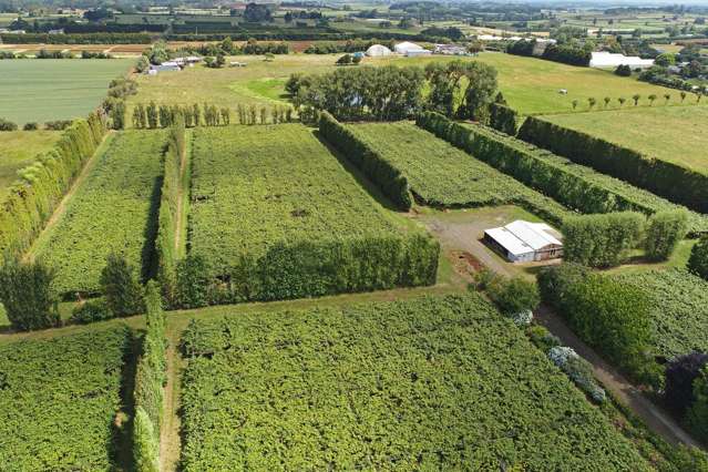 36 Eden Road Pukekohe_2