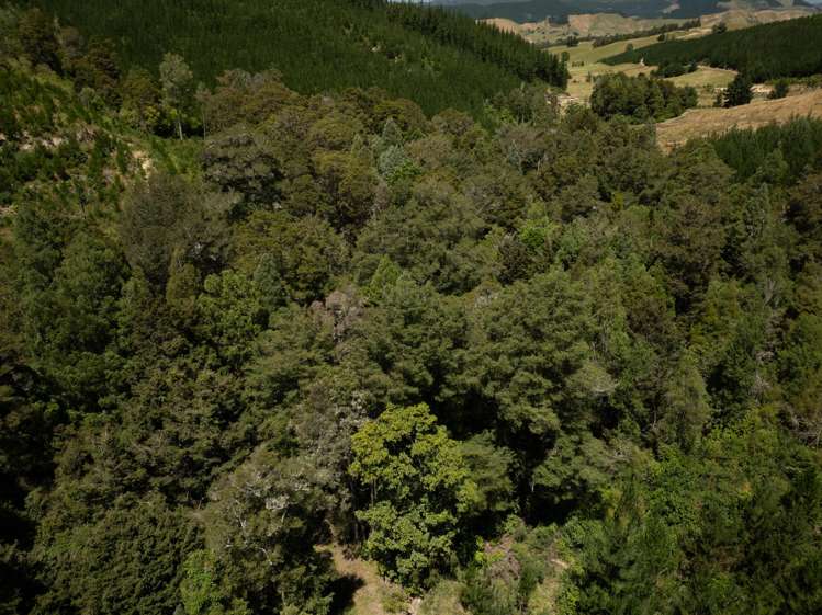 240 Teapot Valley Road Brightwater_36