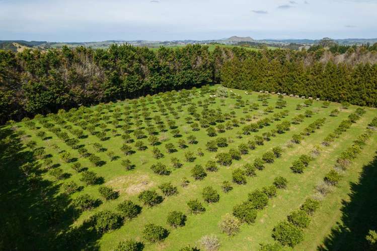 908A Te Ahu Ahu Road, Waimate North Kerikeri_8