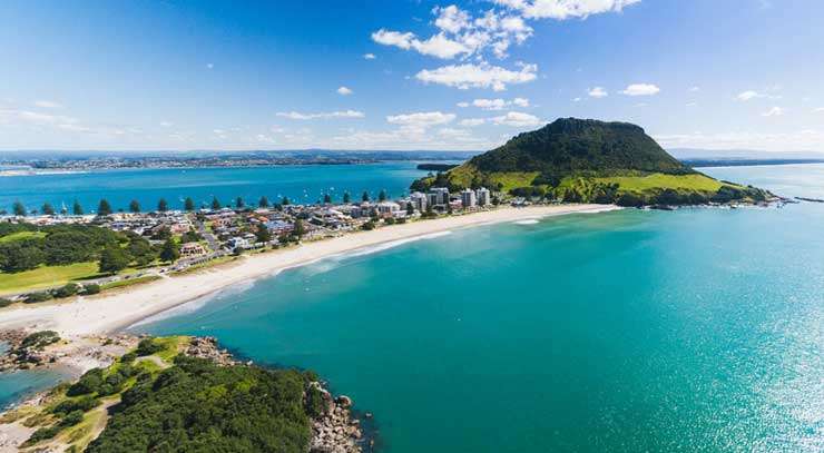 New Zealand houses