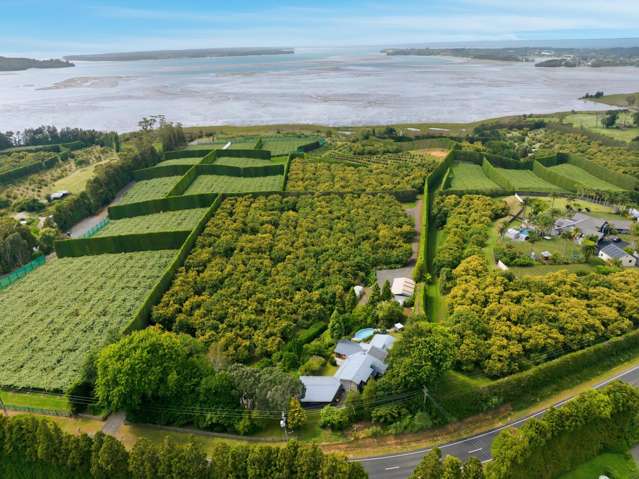 Sun-soaked coastal views, income flexibility