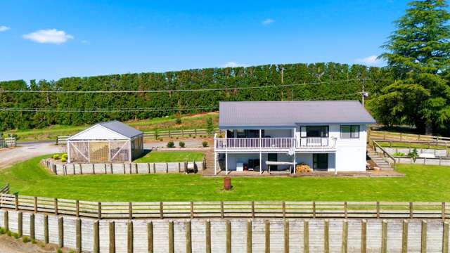 374 Youngson Road Whakamarama_2