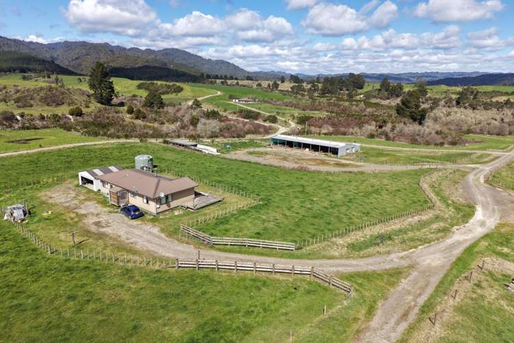 283 Minginui Road Galatea_46