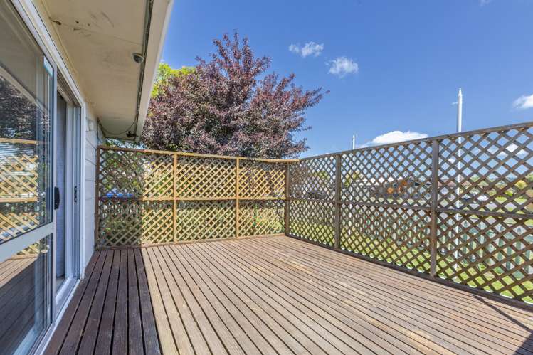 34 Lancaster Street Tamatea_8