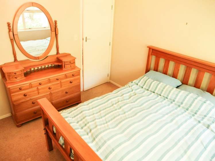 456 Rocky Cutting Road Kaimai_13